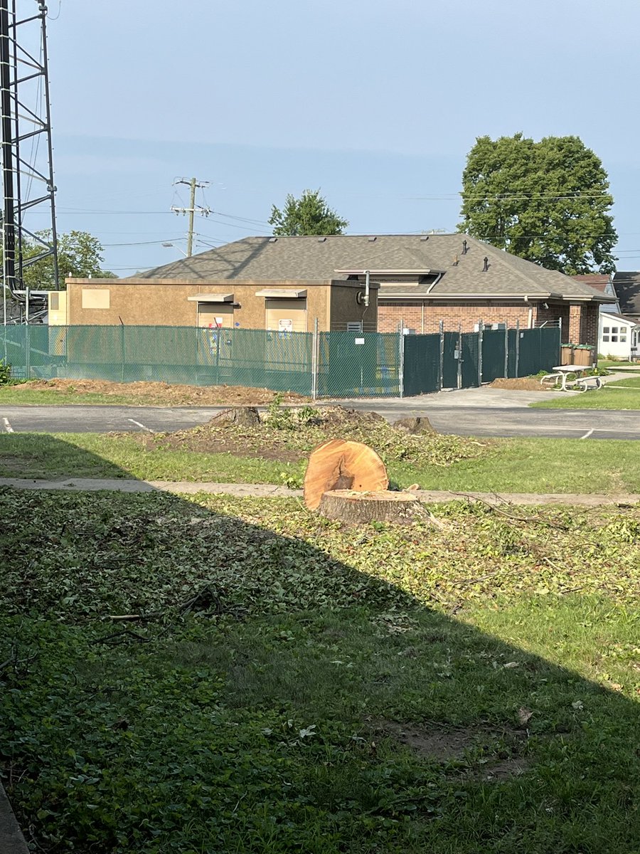 First teacher day is off to a rough start. This was Sammy the Squirrel’s tree, and the other trees around the building are gone too. ☹️