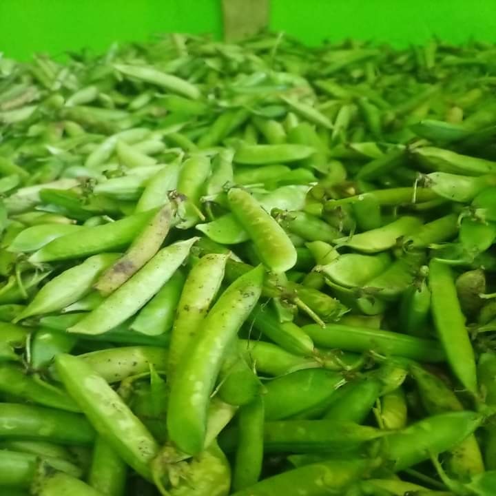 Miji available at wholesale within Nairobi