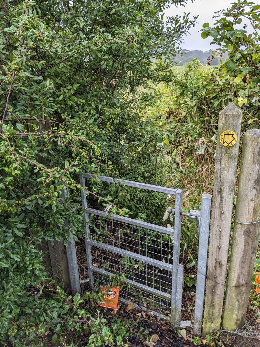 neil_robandrews's tweet image. Great to be out volunteering with Maidstone Ramblers to help clear footpaths in Harrietsham.

200m of path cleared of overgrown vegetation &amp;amp; litter...

Rewarding work despite the rain!