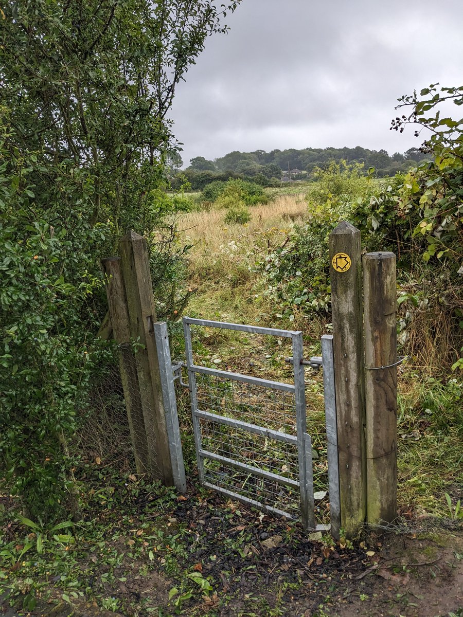 neil_robandrews's tweet image. Great to be out volunteering with Maidstone Ramblers to help clear footpaths in Harrietsham.

200m of path cleared of overgrown vegetation &amp;amp; litter...

Rewarding work despite the rain!