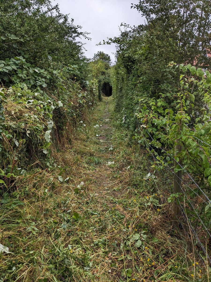 neil_robandrews's tweet image. Great to be out volunteering with Maidstone Ramblers to help clear footpaths in Harrietsham.

200m of path cleared of overgrown vegetation &amp;amp; litter...

Rewarding work despite the rain!
