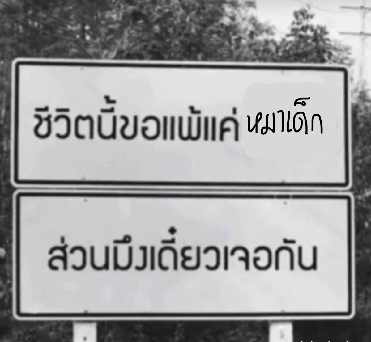 North tweet media