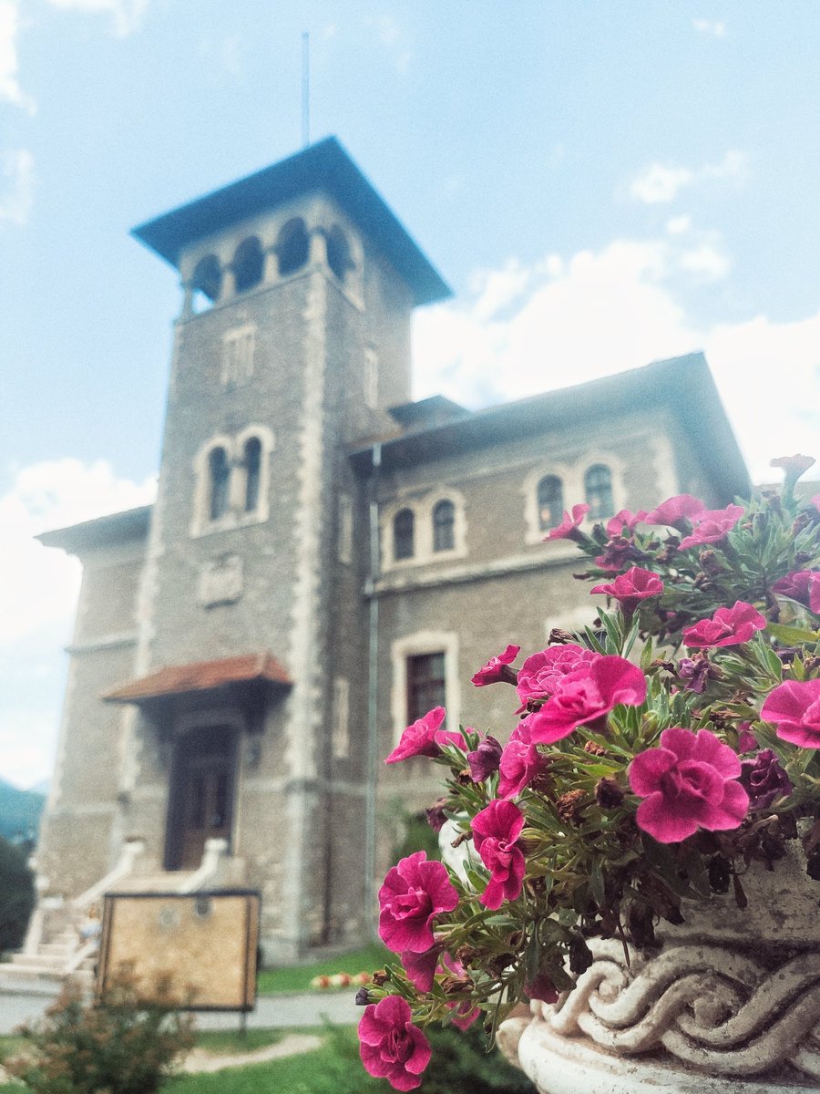 arualzs_'s tweet photo. You guys, I visited the place where they filmed @wednesdayaddams 💜🖤 #nevermoreacademy https://t.co/LbSS2fBZHp