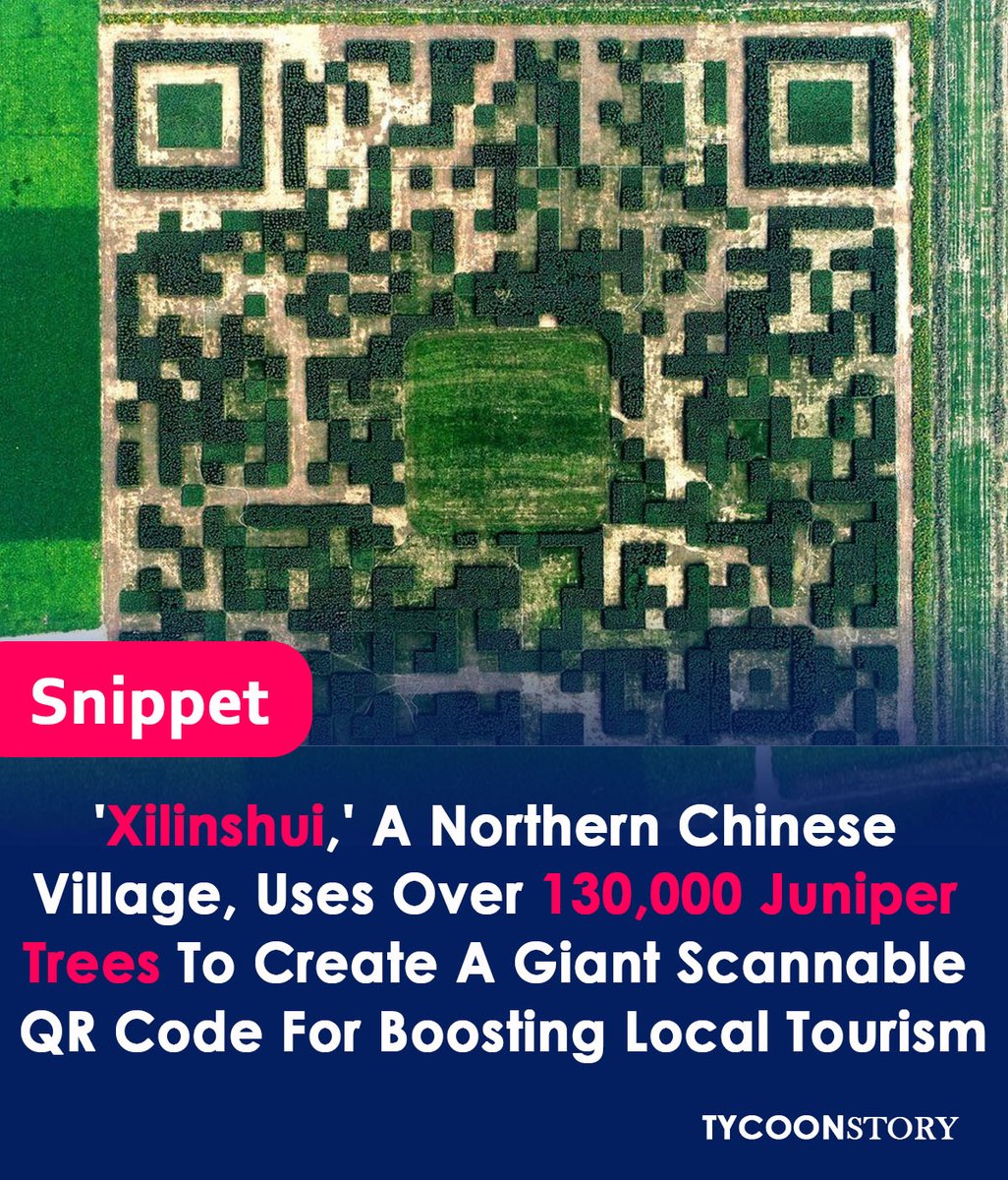 Chinese village creates giant QR code with trees to boost tourism

#giantQRcode #trees #TreeArt #TourismInnovation #creativemarketing #viral #tourism #EcoFriendlyTourism #ChinaTourism #unique #EcoTourism #QRCodeArt #sustainabletourism #touristdestination #adventure #Amazing