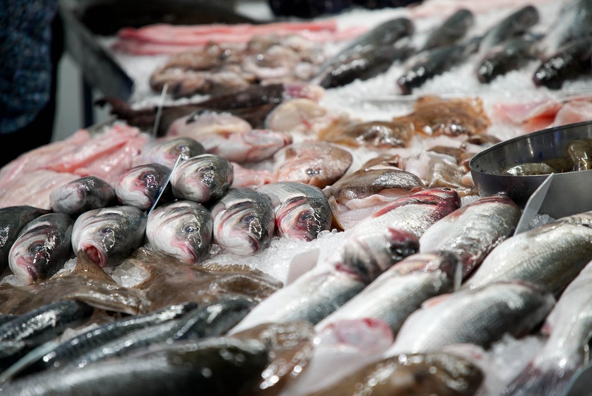 DefraGovUK's tweet photo. @theresecoffey @NFUtweets Keith Chapman built his business nearly 30 years ago, providing high quality fish to the people of Rye 🐟
 
We are backing the fishing industry and have just announced consultations on a series of reforms: https://t.co/NkKaw8vrZq 

@chapmansfish https://t.co/IyVEojmaUH