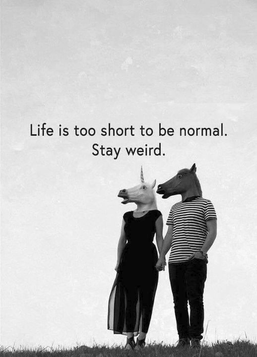 woofknight's tweet image. 