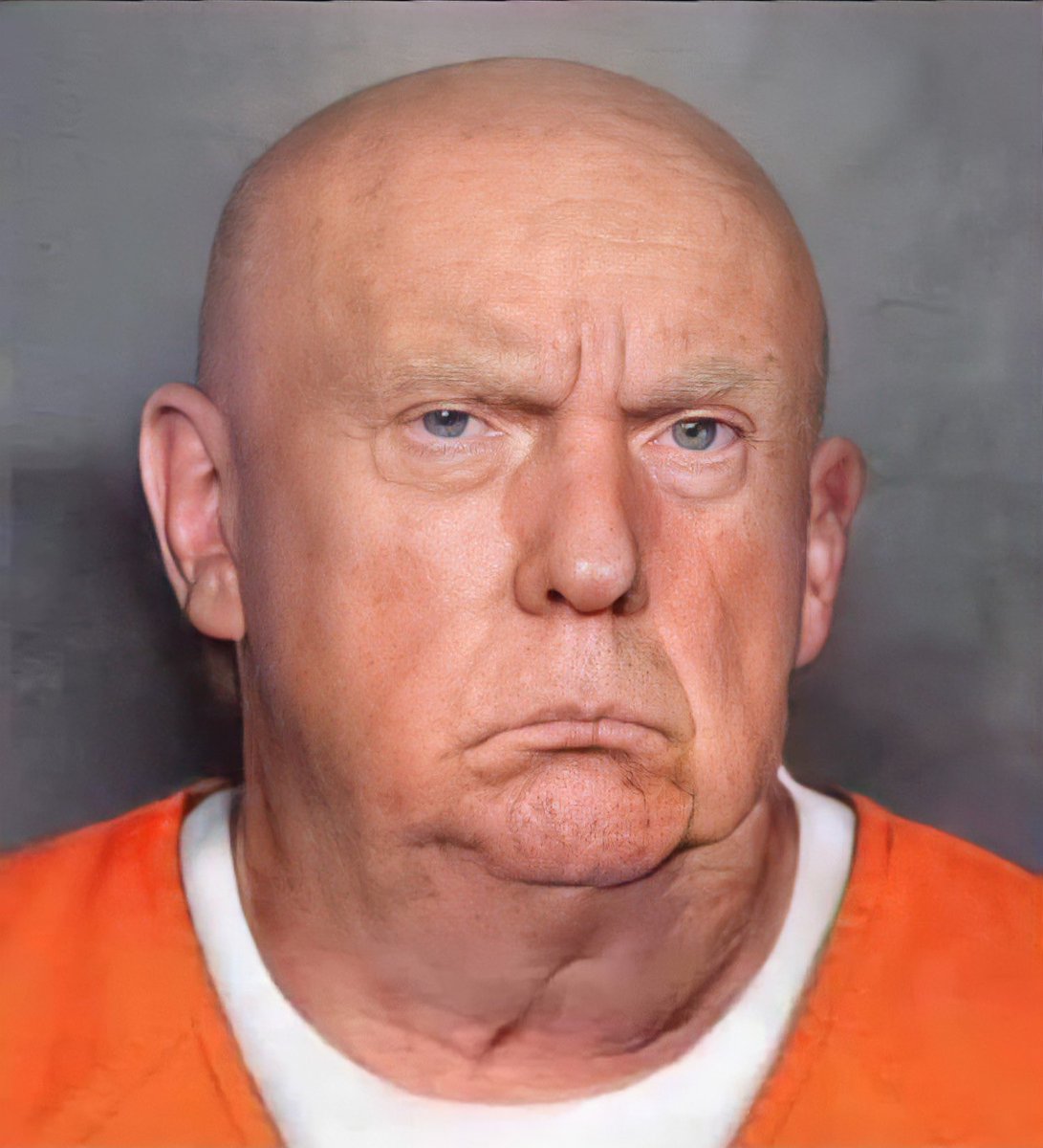 If Trump is found guilty of just ONE of the 78 felony counts charged against him, it could mean life in prison for him.