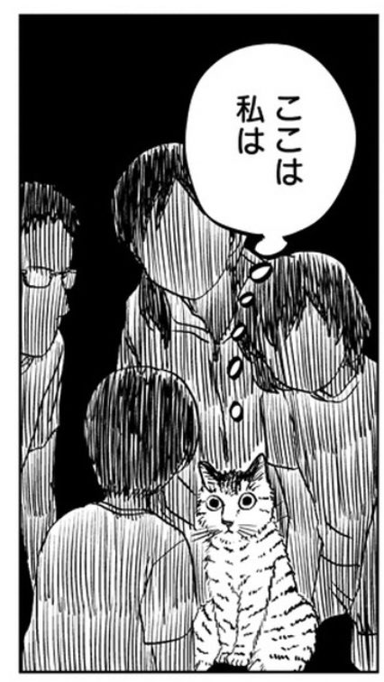 「苦悩!化け猫おはし 小話集」
https://t.co/4rgSvOyaLu

#ピッコマ
最新話であり連載最終話「みらいの巻」更新されました。見届けていただけると嬉しいです。
(閲覧にポイントやコインが必要です) 