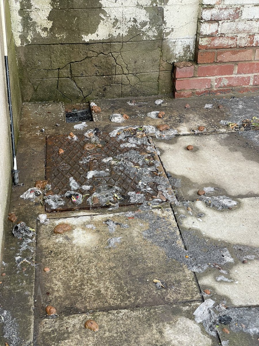2012_Disha's tweet photo. @unitedutilities 3 different wagons attended last week and still could not solve/ unblock the blockage that’s 7m away (out of my boundary). Now waiting for another wagon to attend - meanwhile my kids are seeing this everyday. #unacceptable #unitedutilities #hindley #wigan https://t.co/b5V00kndby