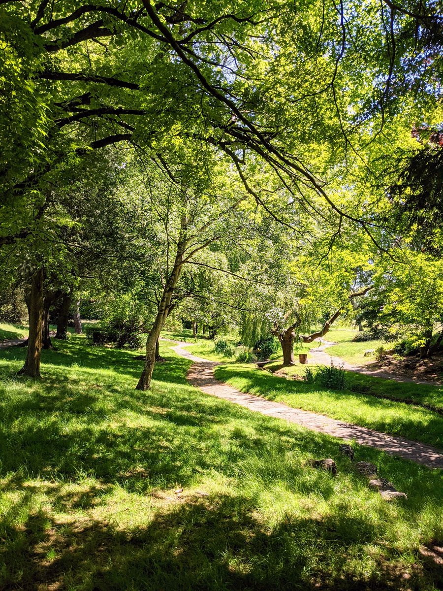 It's #LoveParksWeek, an annual rallying cry to love, protect and respect our parks! We're lucky to have hundreds of beautiful parks throughout Birmingham and the Black Country, sanctuaries for people and havens for wildlife. Do you have a favourite?