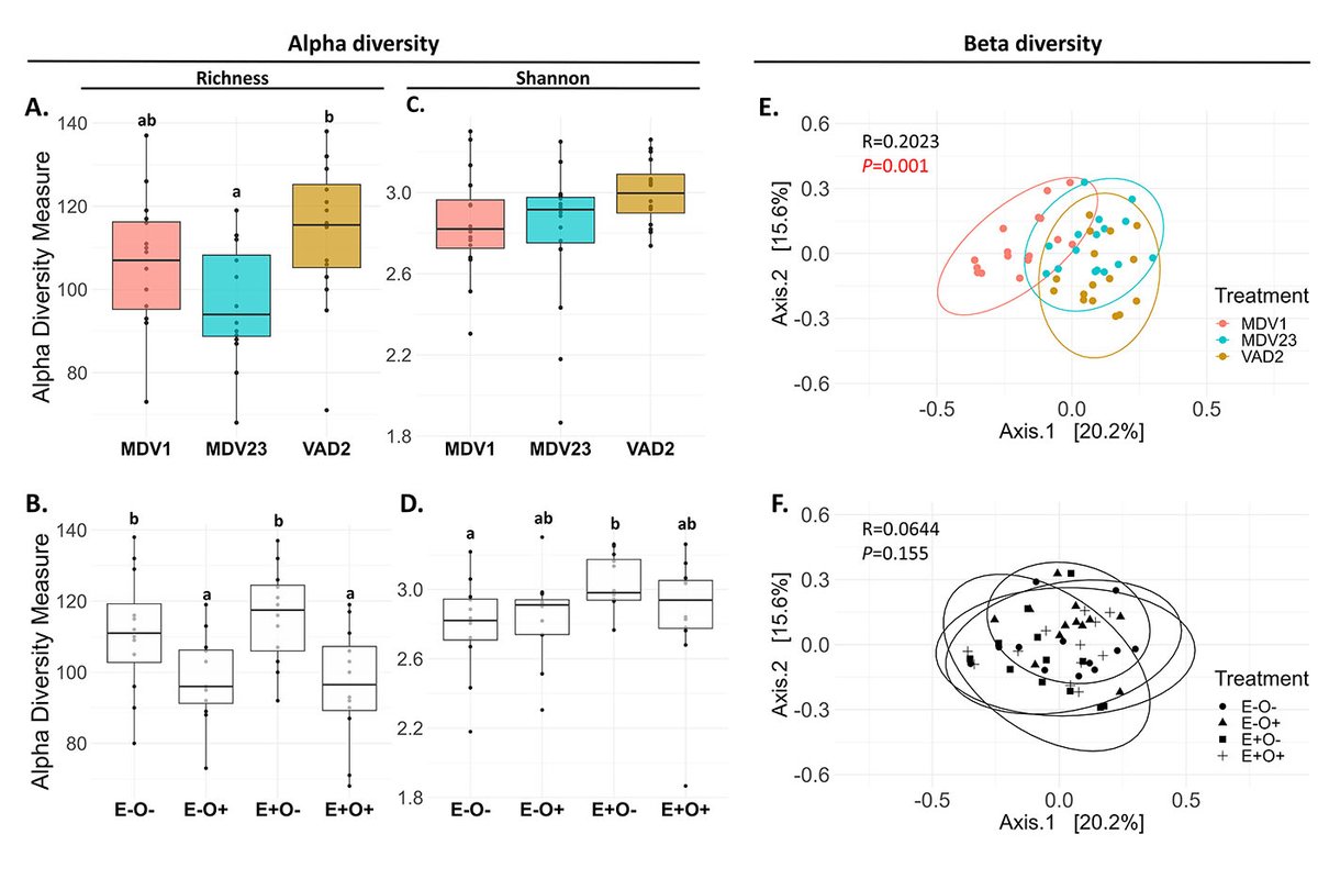 clamara1's tweet photo. 📚Our study revealed fascinating insights! Despite minimal changes in the mycobiome from treatments, two key findings stood out: 1) distinct fungal compositions between genotypes &amp; 2) #endophytes effectively counteracted most pathogen-induced changes in the mycobiome https://t.co/yKwIYUhXOa