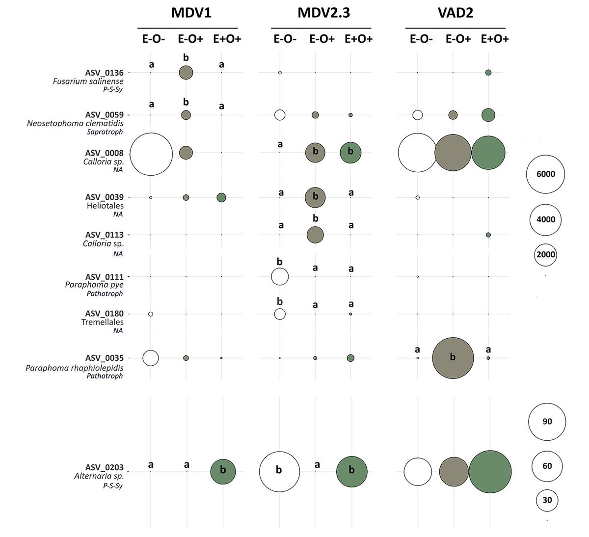clamara1's tweet photo. 📚Our study revealed fascinating insights! Despite minimal changes in the mycobiome from treatments, two key findings stood out: 1) distinct fungal compositions between genotypes &amp; 2) #endophytes effectively counteracted most pathogen-induced changes in the mycobiome https://t.co/yKwIYUhXOa