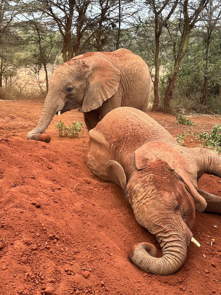 Lee Wilkinson tweet media