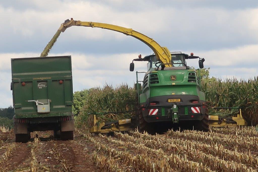 ADASGroup's tweet photo. A familiar sight for many this time of year! 🌾

#Farm24 is a fantastic way of showcasing the extraordinary role british farmers play in producing our food &amp; drink! 🍞🥛🐔🐄🐑🐖🍺

@Morrisons @FarmersGuardian @AgriSpecTom https://t.co/LnIfx64AGg