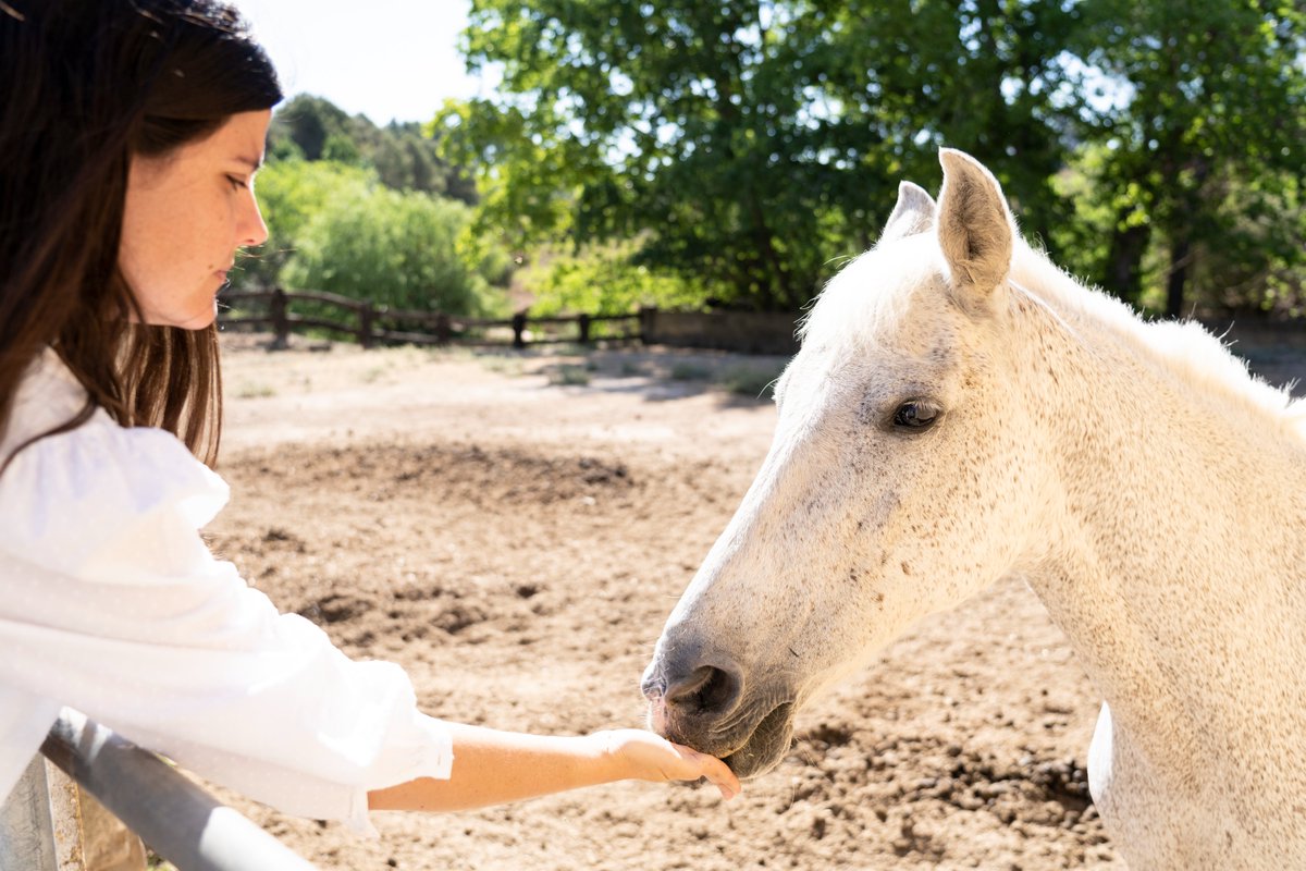 ClosdeLom tweet media