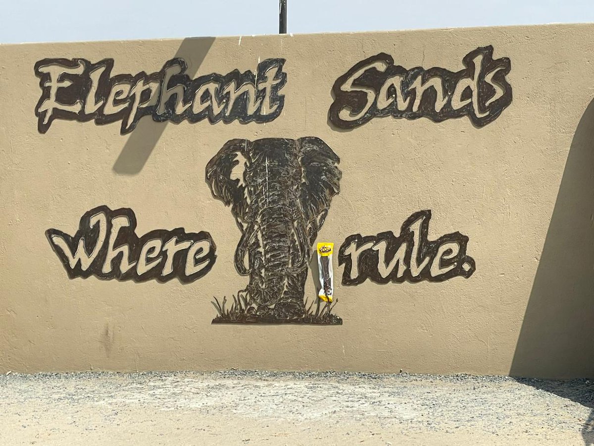 TakisBiltong's tweet photo. Been there ✓ 
Done that ✓
Elephants still rule! ✓

#takisbiltong 
#itsverylekker 
#elephantsands 
#whereelephantsrule 
#adventure https://t.co/2rrIUAPDh2