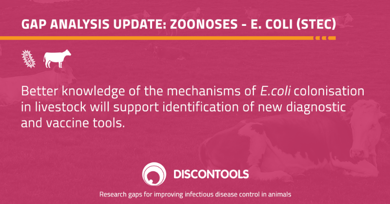 animalhealthEU's tweet photo. โก๏ธ Better understanding of how a certain disease works helps support the development of treatment and diagnostic options
#Discontools #ecoli