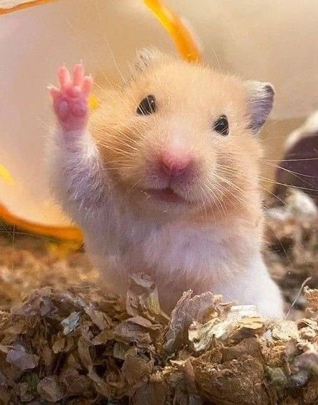 또 봐!