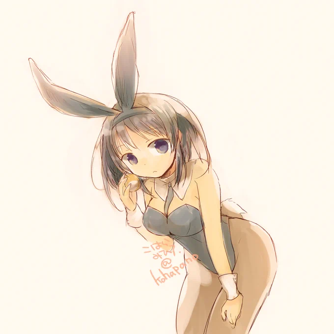 うさ詰め合わせ