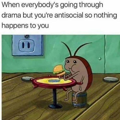 courtvotesblue's tweet image. Lol 😆 definitely a perk of being an introvert ☺️💕 #DramaFreeZone