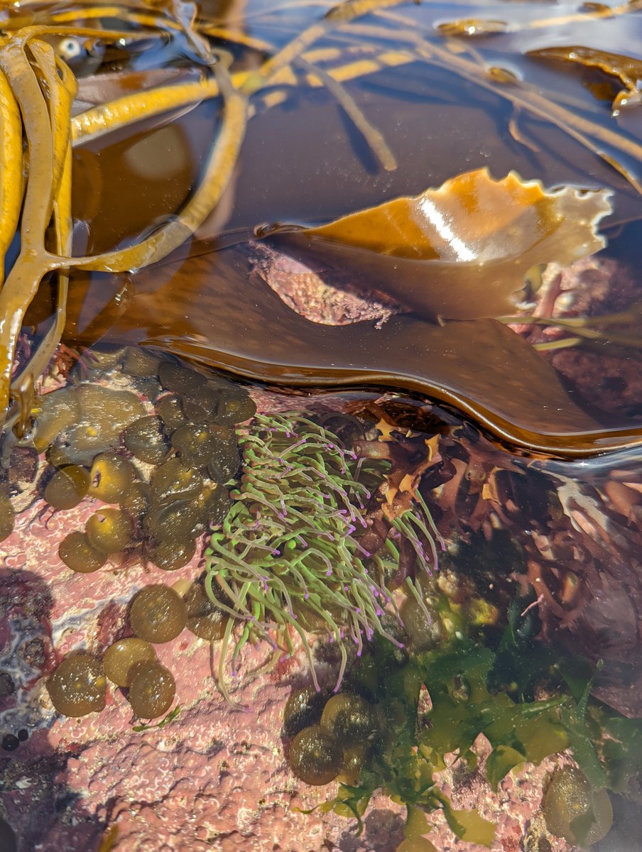 Field Studies Council tweet media