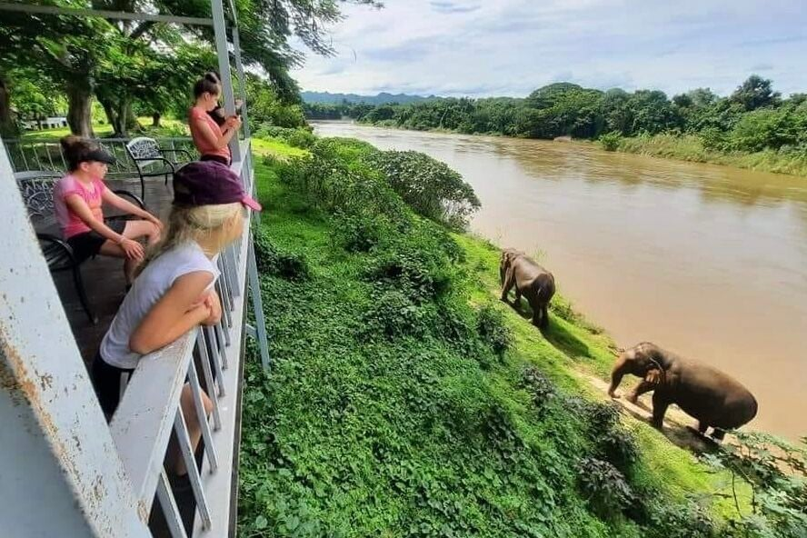 A genuine sanctuary has the least amount of interaction between elephants and visitors. The Animals (Low-Welfare Activities Abroad) Bill will help steer the market away from brutal venues to ethical, safe sanctuaries.
ow.ly/f2yE50Pqrf9
📸 Somboon Legacy Foundation