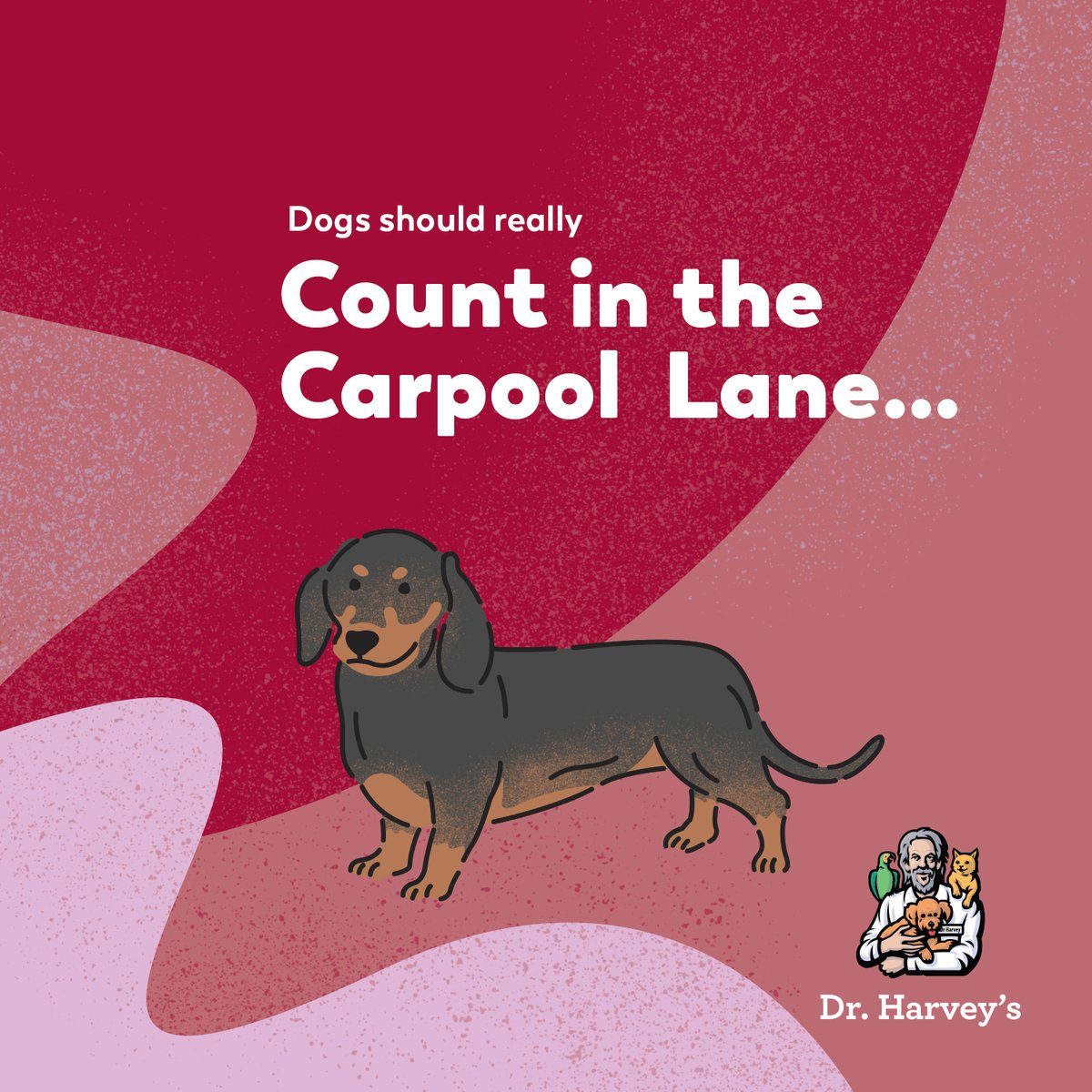 drharvey's tweet image. Not that we need a reason to expand the pack, but the more dogs the better, right? One for each car window 😂 #deepdogthoughts #drharveysdogs #dogmemes #activedog #seniordog #dognutrition #caninehealth