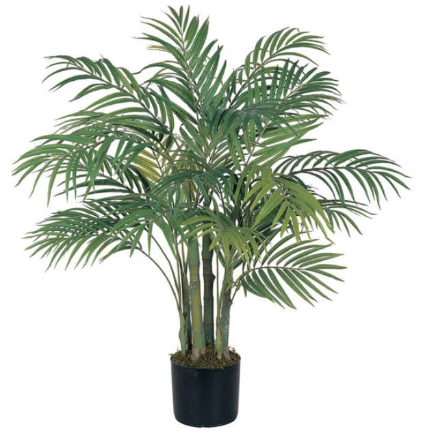 RHomeAmenities's tweet photo. Artificial plants and flowers are strategically placed inside the home, office, or any type of room because they have a positive psychological effect. 

#homedecor #interiordesign #home #interior #decor #design #homedesign #handmade #homesweethome #art #decoration #furniture https://t.co/LDlYOgIgNT