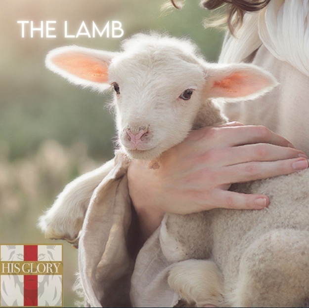 HISGLORYME's tweet photo. And Abraham said, My son, God will provide himself a lamb for a burnt offering: so they went both of them together. Genesis 22:8 KJV
https://t.co/QD7NkNDaH6
#JesusisLord #LambofGod #redeem #thefirstandthelast #bible #savior #salvation #savedbygrace #childofGod #bornagain https://t.co/V3w98P0iHI