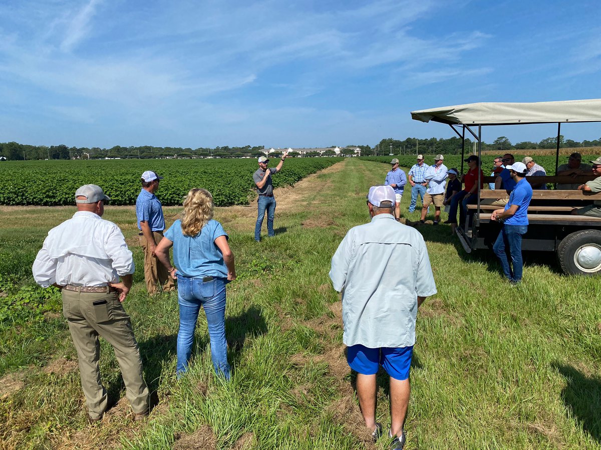 Guilherme Morata tweet media