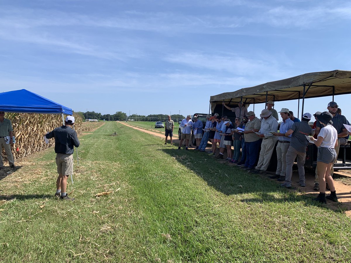 Guilherme Morata tweet media