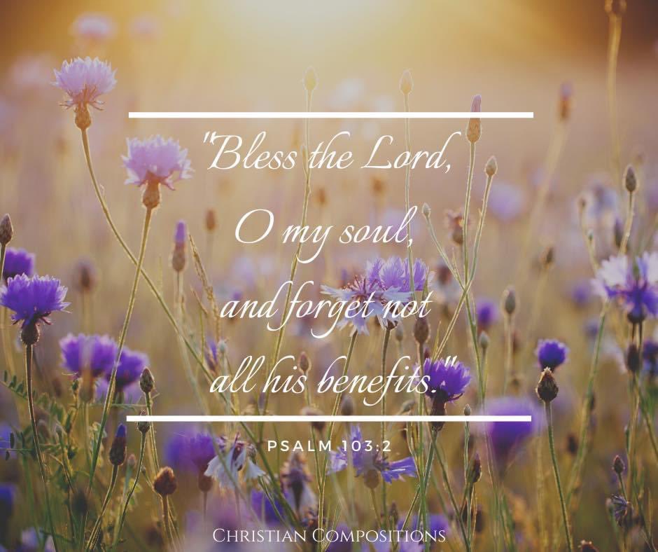 What a powerful reminder in this brief verse! 

We are so prone to forget all the amazing things God has done for us. It is good to daily remember God's goodness, and all His benefits. 

Praise Him today!