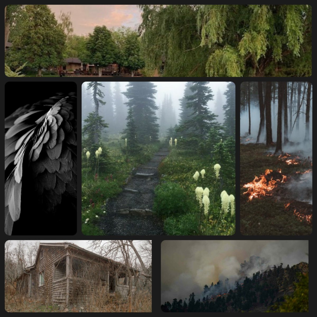 emilyalicious's tweet image. A thin line exists between rulers and gods. Between good and evil. And between Aisceythius and freedom. Imprisoned, abused, and forced to kill for hundreds of years, she’ll cross all three in her quest to find her twin brother and overthrow their enemies.
#SparkPit