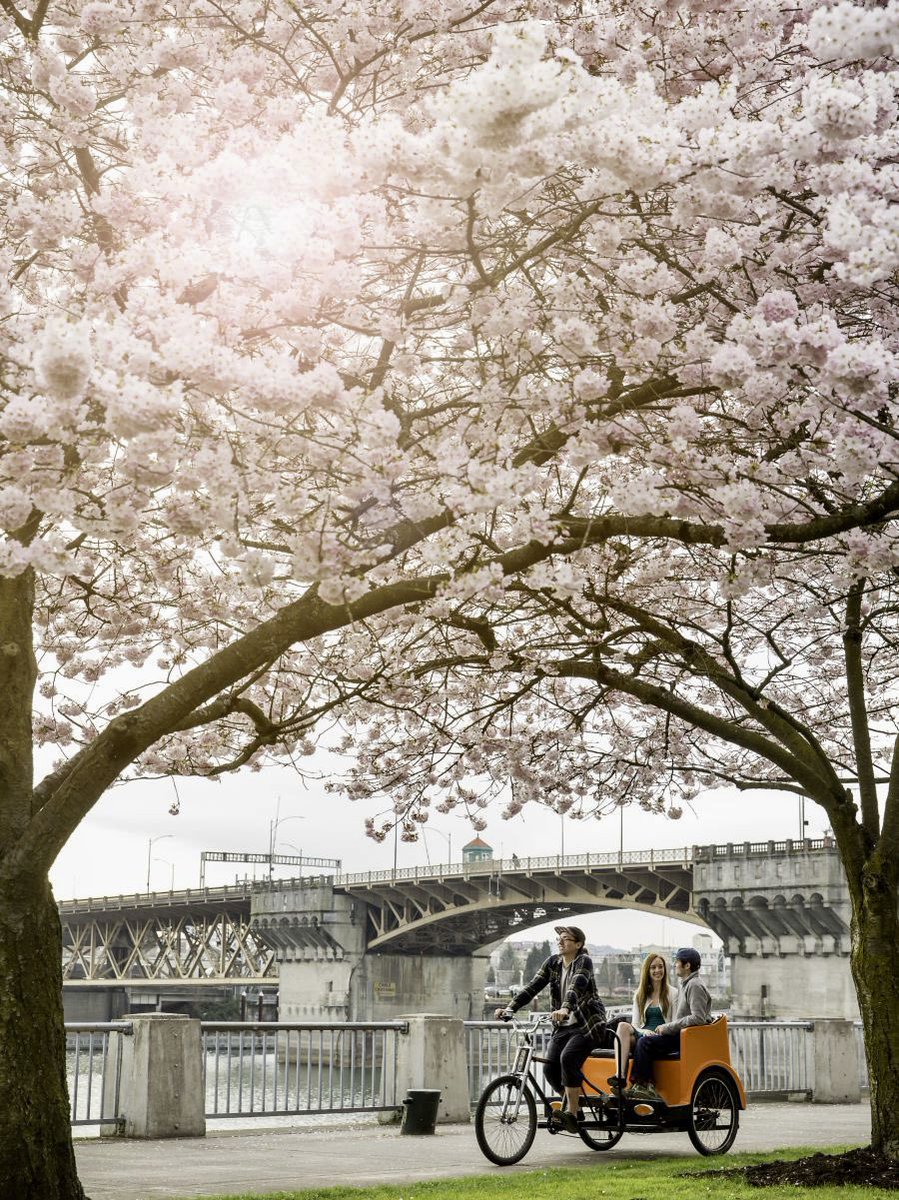 I 🤍 Japan 🇯🇵