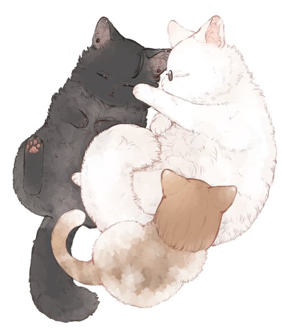 「寝そべり 白い猫」のTwitter画像/イラスト(人気順)