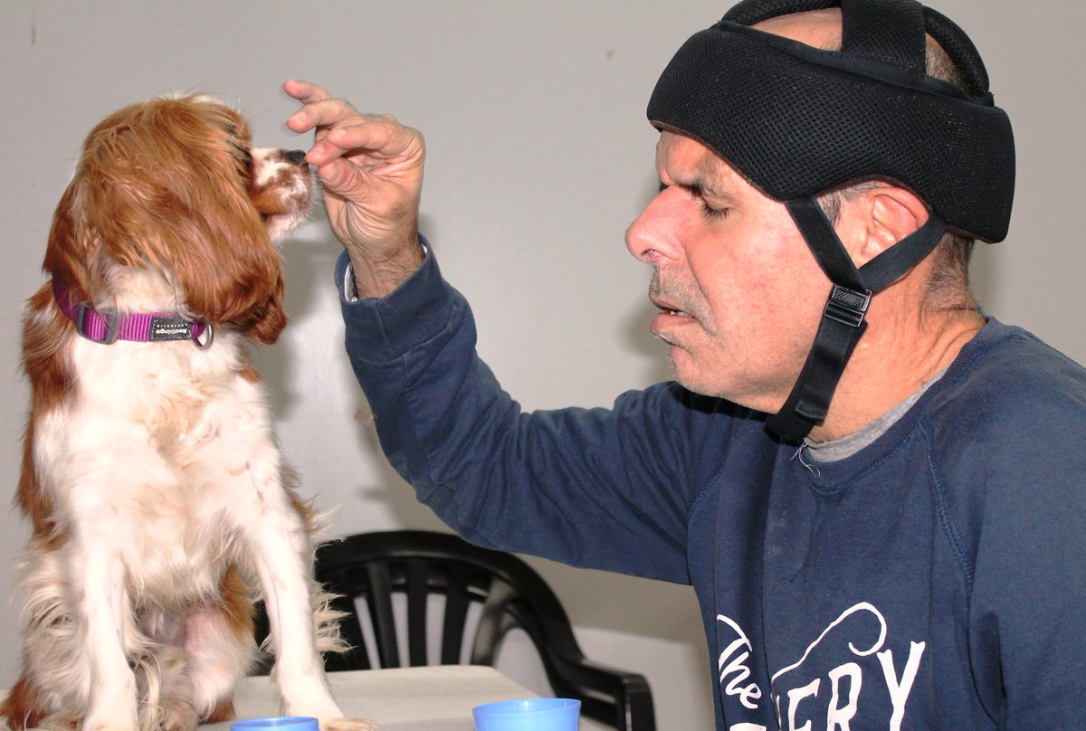 Fundació Autisme Mas Casadevall tweet media