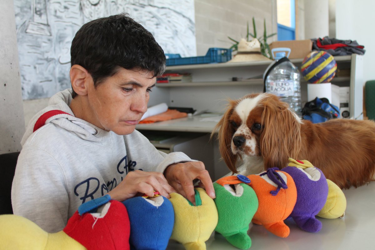 Fundació Autisme Mas Casadevall tweet media