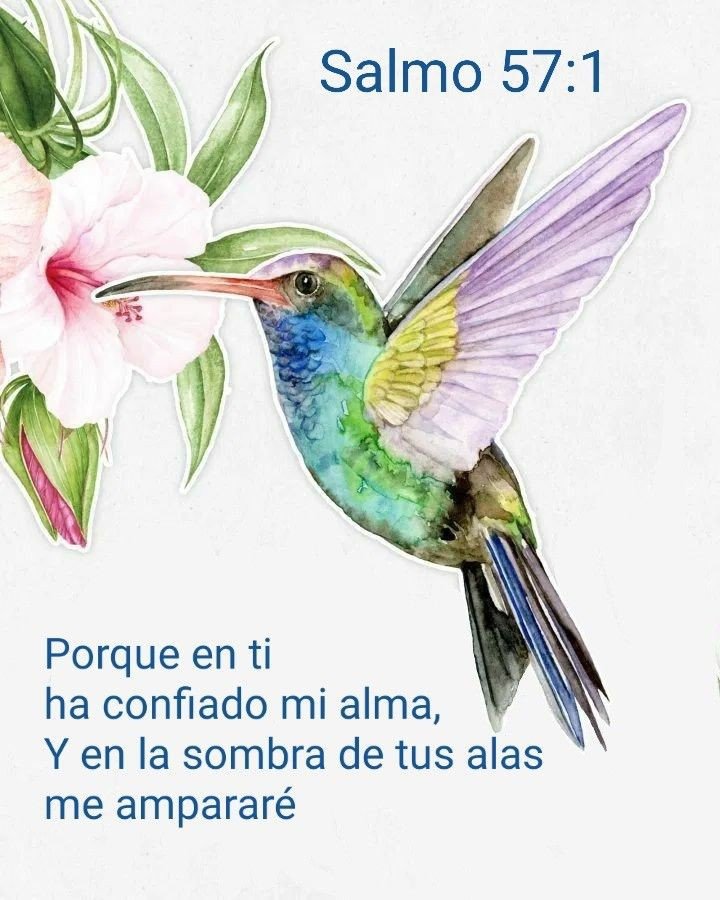 Buenos días que pasen un lindo y bendecido día