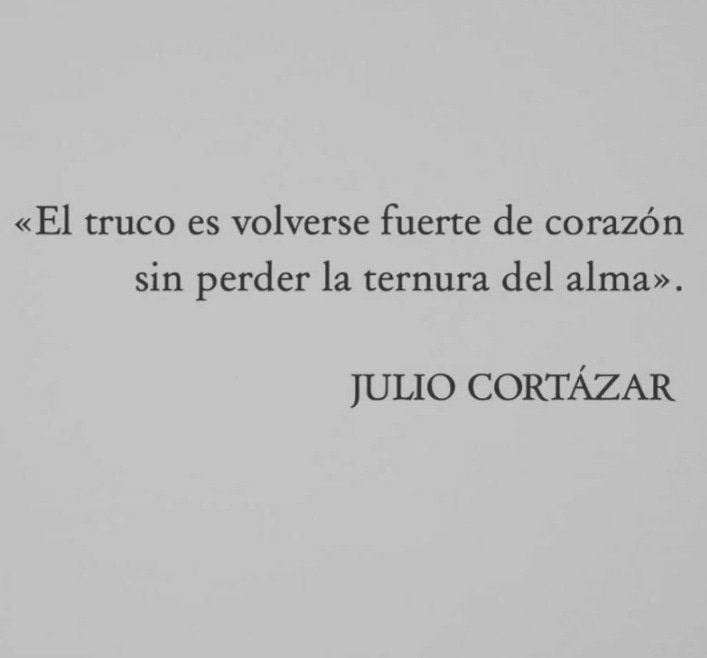 literland (@literlandweb1) on Twitter photo 