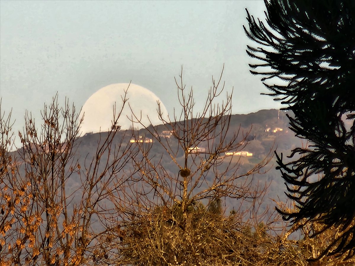 Tucumanoide tweet media