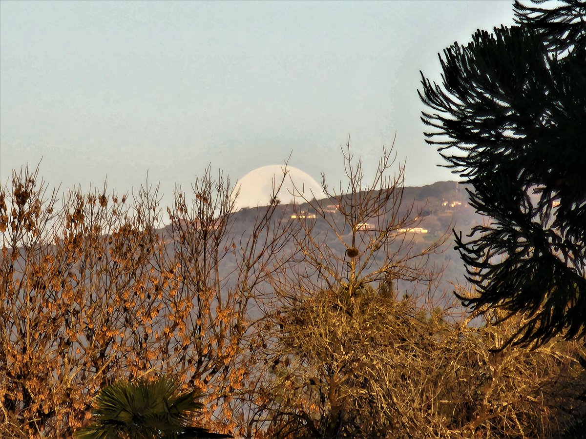 Tucumanoide tweet media