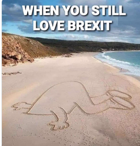 #FBPPR #FBPE #GetPRDone #ToryBrexitDisaster