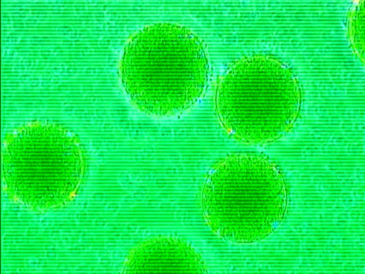 noodlesrecipe's tweet image. アンドロイドガール — Android Girl Nami 2003
dir. Daisuke Yamanouchi