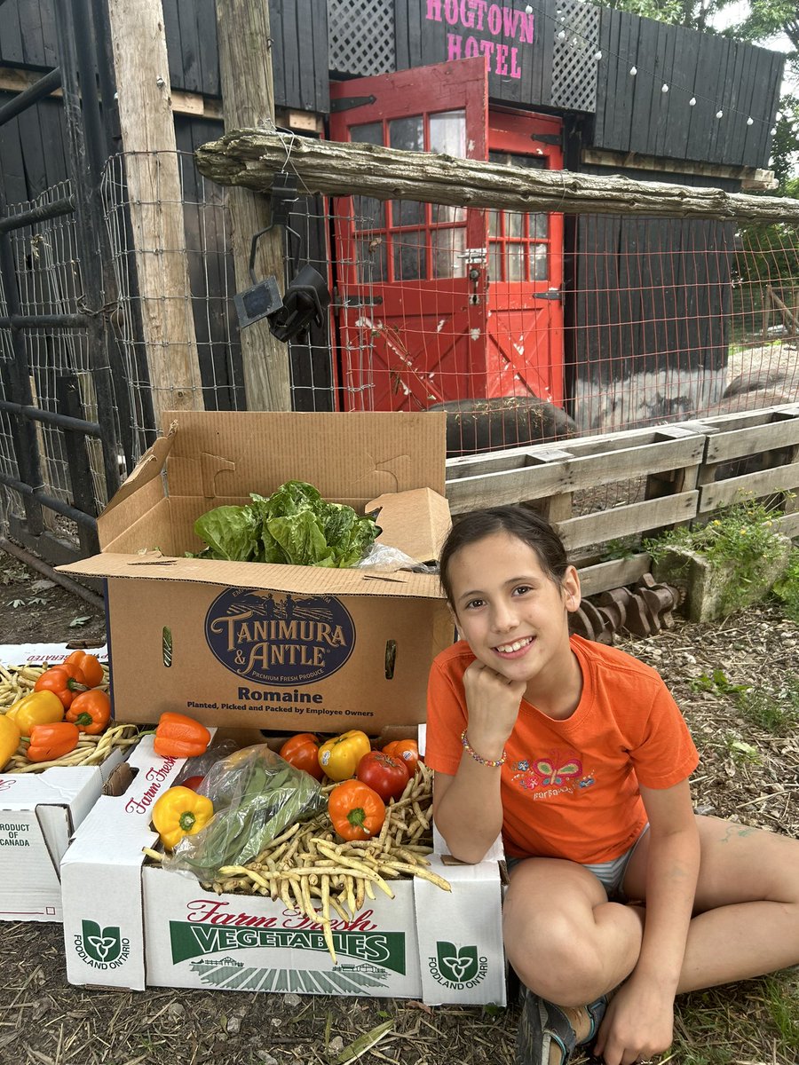 Thank you Pit's Fresh Veggies for this huge haul for the animals!! Visit #PitsFreshVeggies for veg, fruit, baked goods, prepared salads &amp; more!📍6321 County Rd. 20 in Harrow - just a 7 minute drive from #runawaysfarm 

#shoplocal #supportsmallbusiness #amherstburg #windsoressex