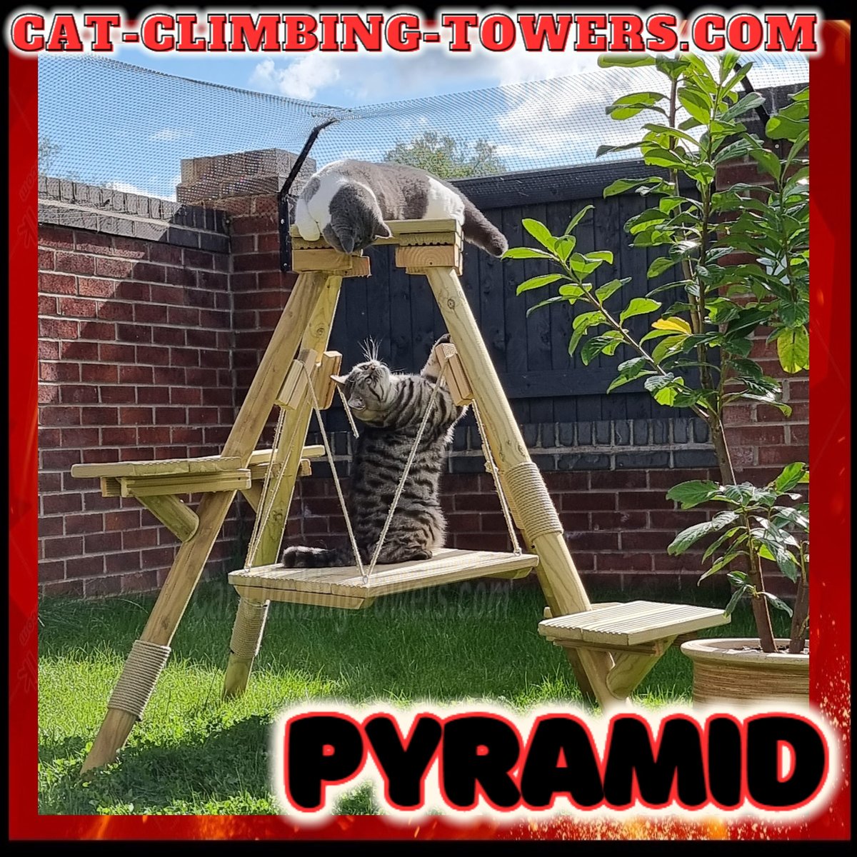 tclynx's tweet photo. Hi Dave and Vicky
Thank you very much for delivering them today! Pluto and Bandit have been loving them :)
Please find attached of the kitties playing already!
Cheers
#catframes #CatsOfTwitter #cats #cat #catenrichment #catquiz #catoftheday #cattoys #advert https://t.co/2mTmuSr9ae