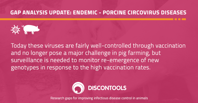 animalhealthEU's tweet photo. Due to vaccination #PCV2 no longer poses a major challenge in #pigfarming, but better surveillance is needed
๐ฆ ๐
Check out #Discontools database update ๐