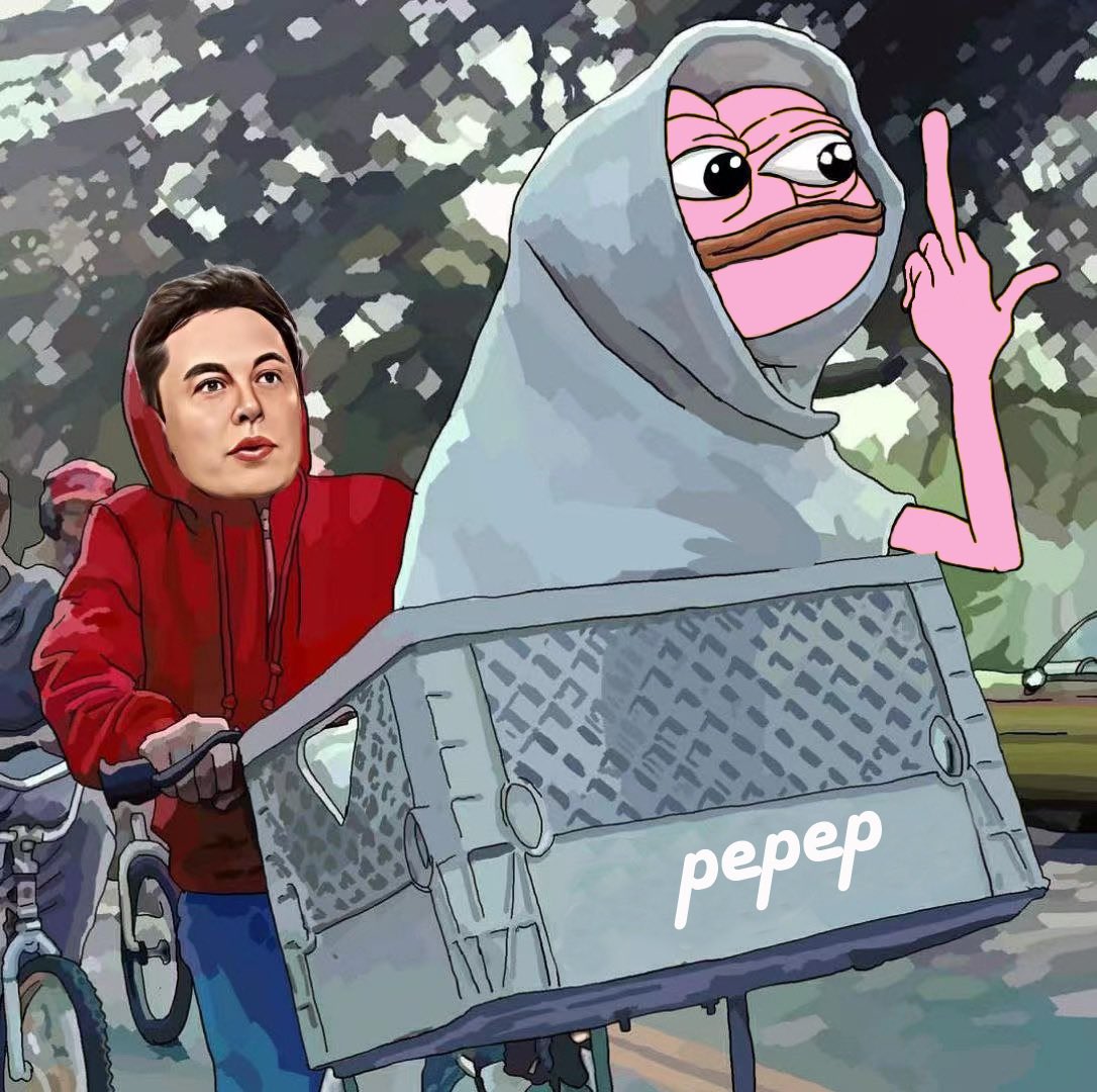 $PEPEP PEPE POP GAME tweet media