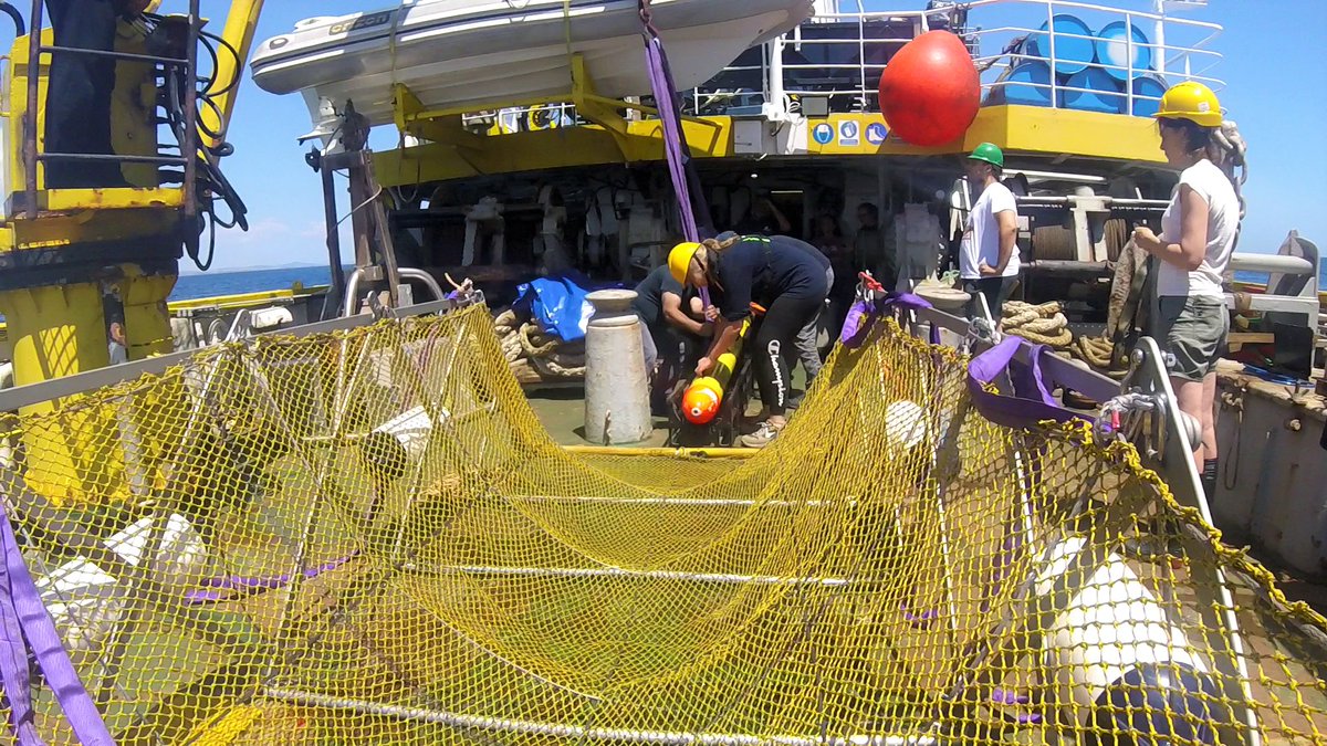 HcmrInOcean's tweet photo. As part of ERODOTO - #Eurofleets program, the R/V #AEGAEO was found in the #Calabria region in Italy and more specifically in the Gulf of #Squillace. The purpose of the trip was the detailed mapping of the underwater canyons of the area. #InstituteofOceanography #HCMR #Eurofleets https://t.co/LsPGaAfF4H