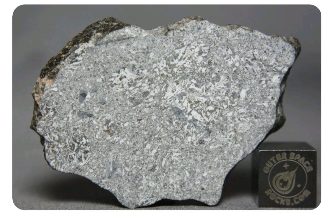 OuterSpaceRocks's tweet photo. Beautiful NWA 15321 HED Diabasic Monomict Breccia #Eucrite #Meteorite.
Petrography: (A. Irving, UWS and J. Boesenberg, BrownU) Monomict breccia composed of lithic diabasic eucrite clasts plus related crystalline debris. Minerals are pigeonite, augite, exsolved pigeonite, calcic plagioclase, silica polymorph, fayalite, chromite, ilmenite, zircon, merrillite, Fe metal and minor secondary barite.
