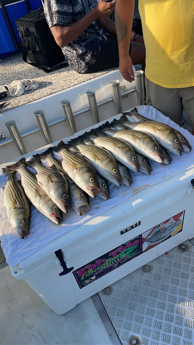 Maxwell Lanham tweet media